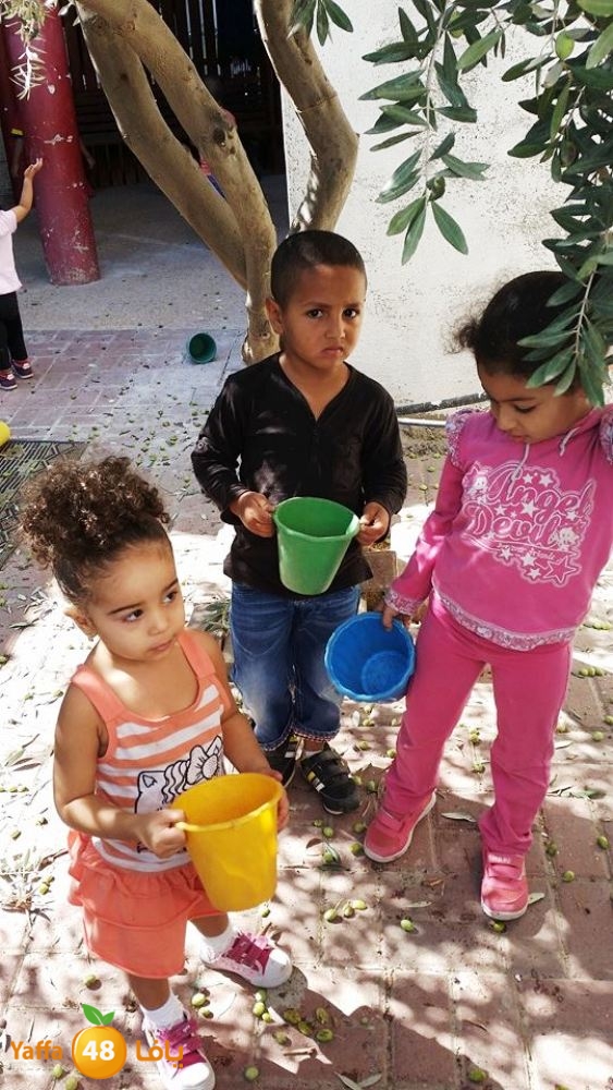 alkeram zatoon3 (4).jpg